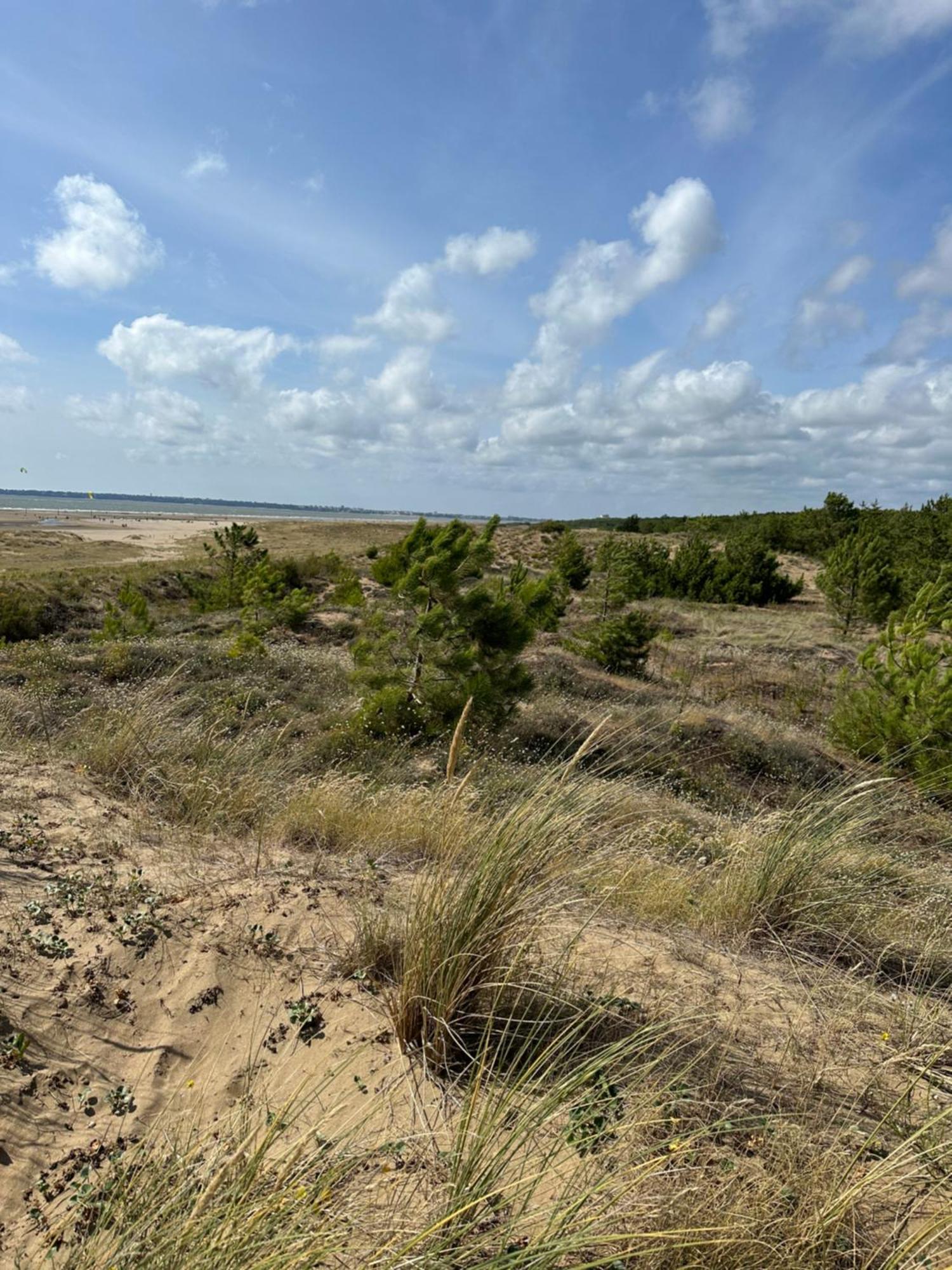 Appartement Au Bord De Mer Saint-Brévin-les-Pins Exteriör bild