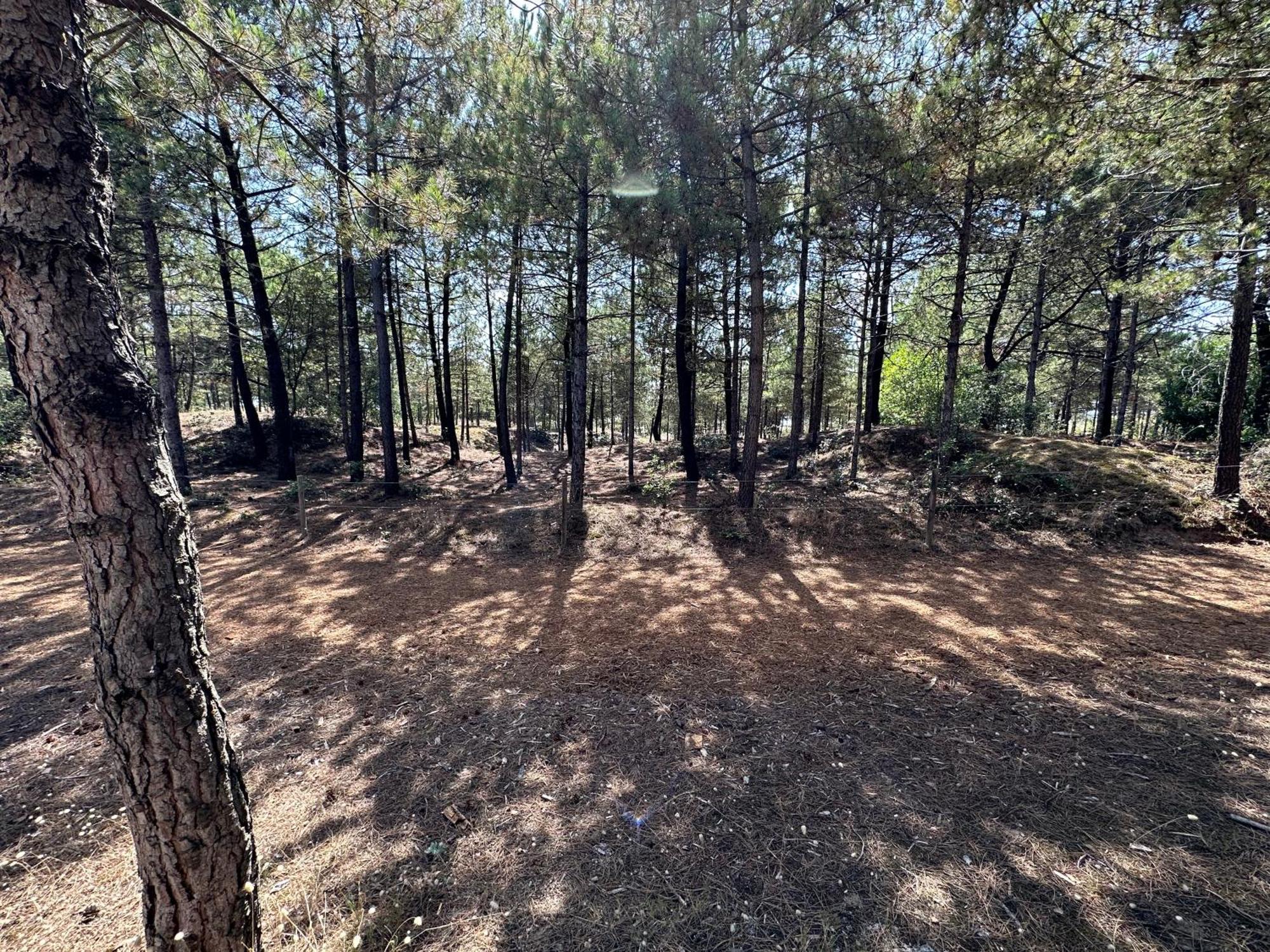 Appartement Au Bord De Mer Saint-Brévin-les-Pins Exteriör bild
